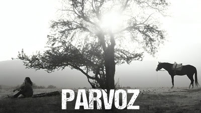 Parvoz